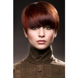 Straight Capless Red Human Hair Wig 
