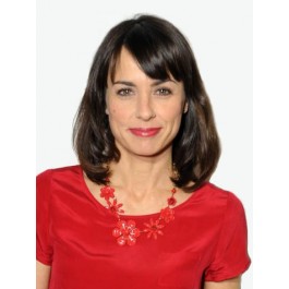 Polished Synthetic Lace Front Wig