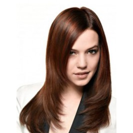 Straight Lace Front Delicate Synthetic Wig