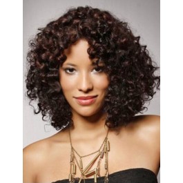 Elegant Synthetic Lace Front African American Wig
