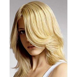 Concise Capless Brazilian Remy Hair Wig