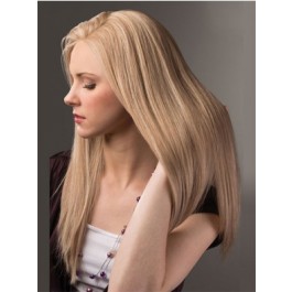 Popular Remy Human Hair Straight Lace Front Wig