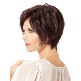 Prodigious Lace Front Synthetic Wig
