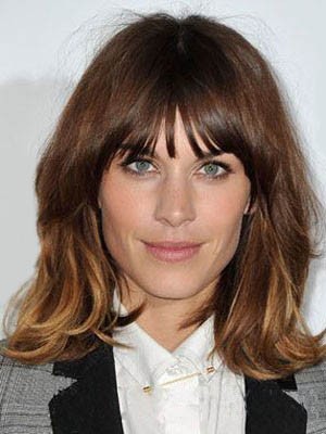 Human Hair Execllent Straight Capless Wig