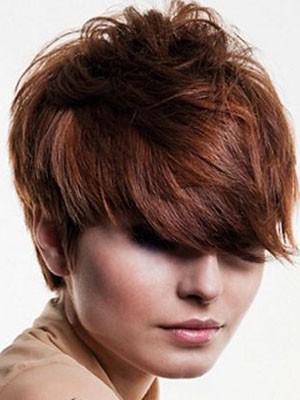 Straight Fantastic Capless Human Hair Wig