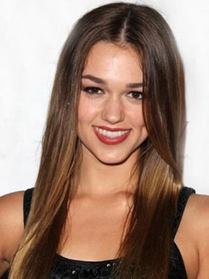 Comely Straight Synthetic Lace Front Wig