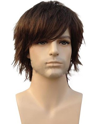 Beautiful Straight Capless Human Hair Wig