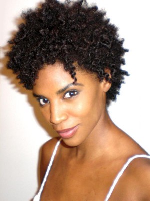Fabulous Lace Front Synthetic African American Wig