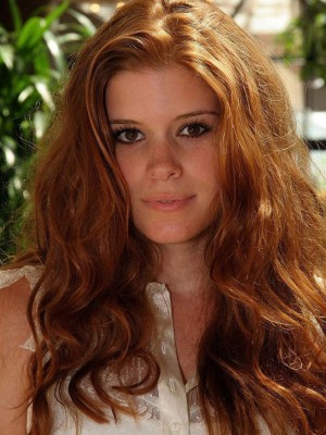 Polished Synthetic Lace Front Wig