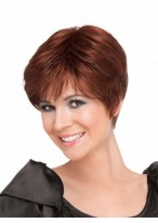 Straight Synthetic Hair Full Lace Wig 