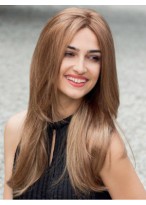 Aesthetic Straight Lace Front Synthetic Wig 