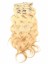 10 Pcs From 18" Body Wave Clip In Full Head Set