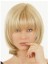 Exquisite Human Hair Top Piece Wig