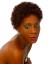 Short Curly Synthetic African American Wig