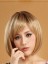 Short Straight Hairstyle Lace Front Synthetic Wig