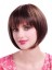 Straight Short Synthetic Bob Wig