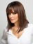 Cheryl Cole's Straight Lace Front Wig