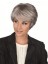 Side Long Fringe Synthetic Capless Gray Wig