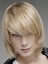 Straight Remy Hair Lace Front Wig