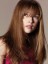 100% Human Hair Capless Straight Wig