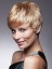 Cropped Pixie Human Hair Wig