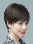 Short Capless straight Remy Human Hair Wig