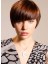 Capless Hairstyle Human Hair Wig 