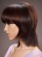 Short Straight Remy Human Hair Capless Wig