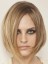 Human Hair Straight Lace Front Medium Length Wig