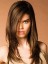 Straight Capless Fantastic Remy Human Hair Wig