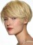 Straight Capless Aesthetic Human Hair Wig