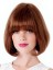 Bob Style Straight Human Hair Wig