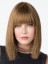 Sleek Straight Shoulder Length Human Hair Lace Wig