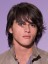 Sightly Synthetic Straight Capless Wig