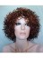 Curly Synthetic Capless Wig for Woman