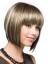 Capless Synthetic Hair Wig