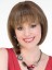 Straight Synthetic Medium Length Wig
