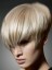 Gracious Short Straight Capless Synthetic Wig