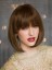 Straight Capless Diaphanous Synthetic Wig