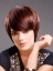 Prim Straight Capless Synthetic Wig