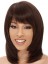 Straight Capless Human Hair Wig