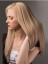 Popular Remy Human Hair Straight Lace Front Wig
