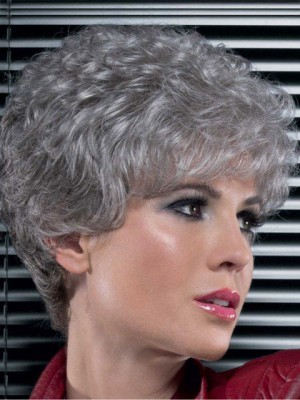 Synthetic Lace Front Gray Wig
