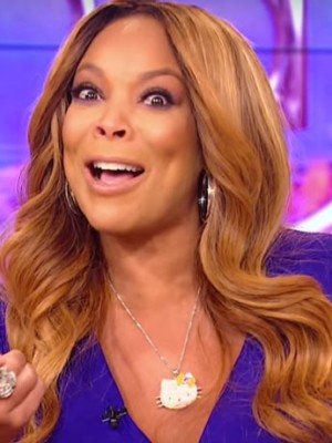Gorgeous Wendy Williams Lace Front Synthetic Wig