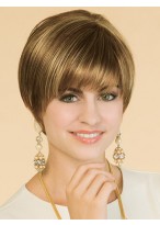Straight Style Synthetic Lace Front Wig 