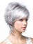 Lace Front Layered Synthetic Gray Wig