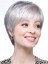 Synthetic Lace Front Short Straight Gray Wig